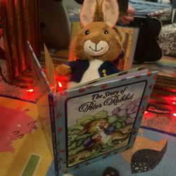 Peter Rabbit Came With The Book 😍
