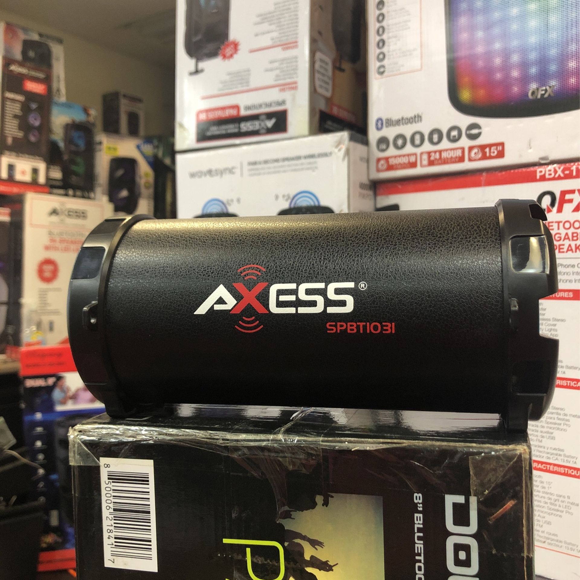 Axess Speaker 1031