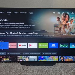 Sony 55" Master Series 4k OLED