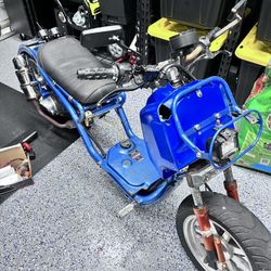 2016 Ice Bear Mad dog