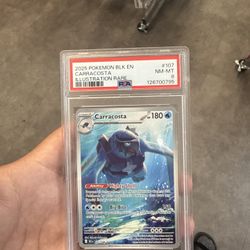 Pokemon Cards Illustration, 2025 POKEMON BLK EN CARRACOSTA ILLUSTRATION RARE