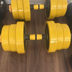 22.5 Lb Weights (2)