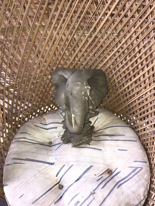 Elephant statues