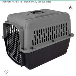 Dog Kennel 