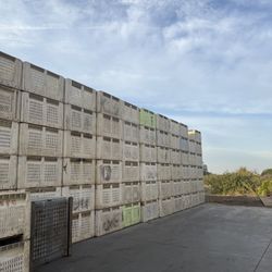 Plastic fruit Bins/ Citrus / Bines / 