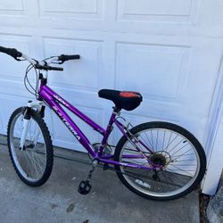 Bikes And Playhouse