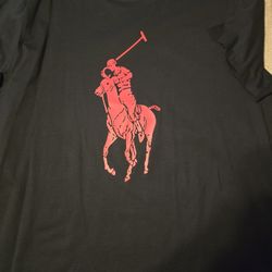 Polo/Tommy Hilfigure Shirts And Shorts