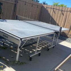 Ping Pong Table