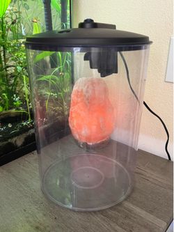 Mini Round Aquarium