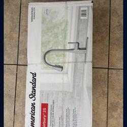 New Kitchen Faucet 