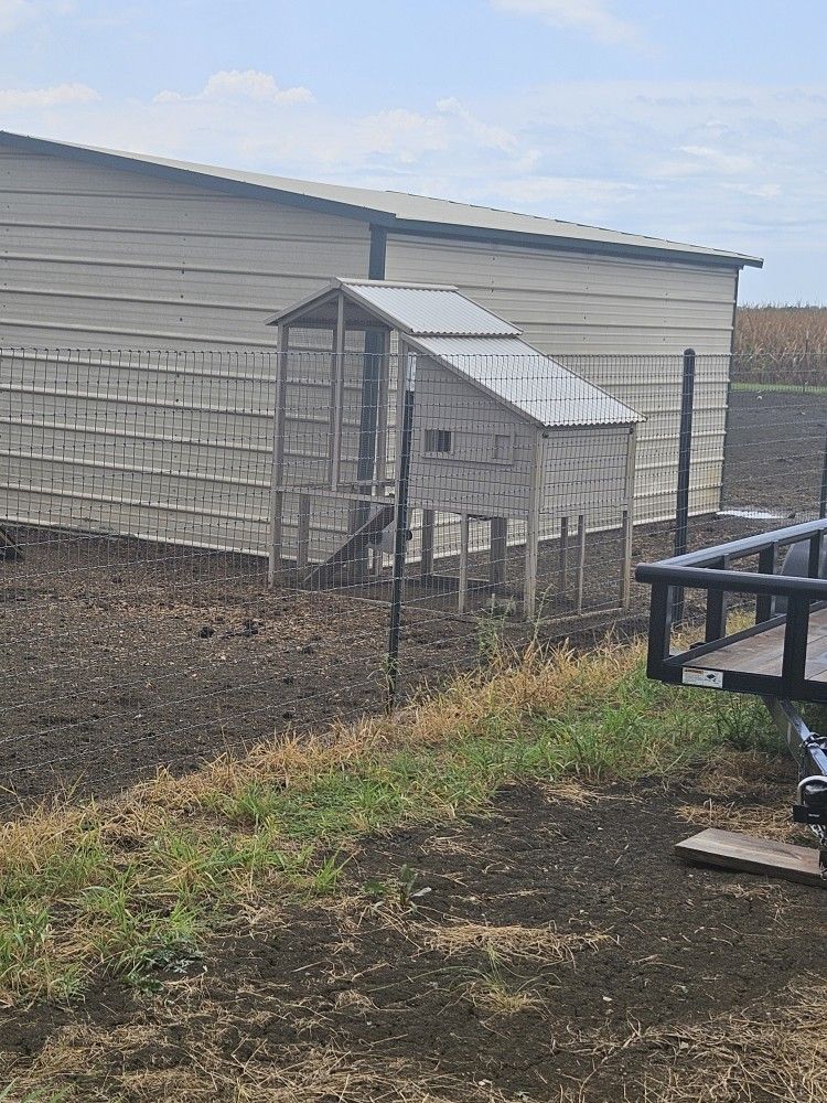 Chicken Coop 
