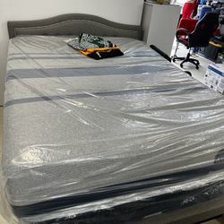 Queen Mattress For Beds Box Springs And Frames 