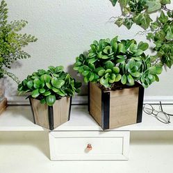 NEW! Artificial Plant Set in Containers made of Wood &Metal, 12"x7" & 11``x7`` , CASH ONLY, PICKUP ONLY - decor, fake plants, faux plants, flowers 
