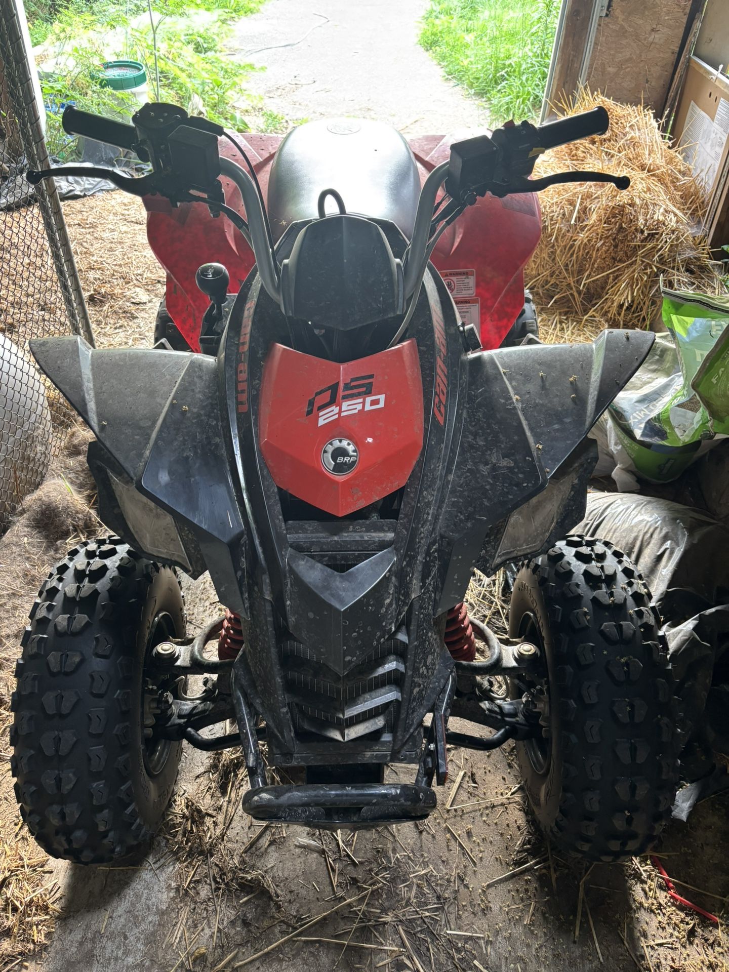 2024 Can-am Ds 250