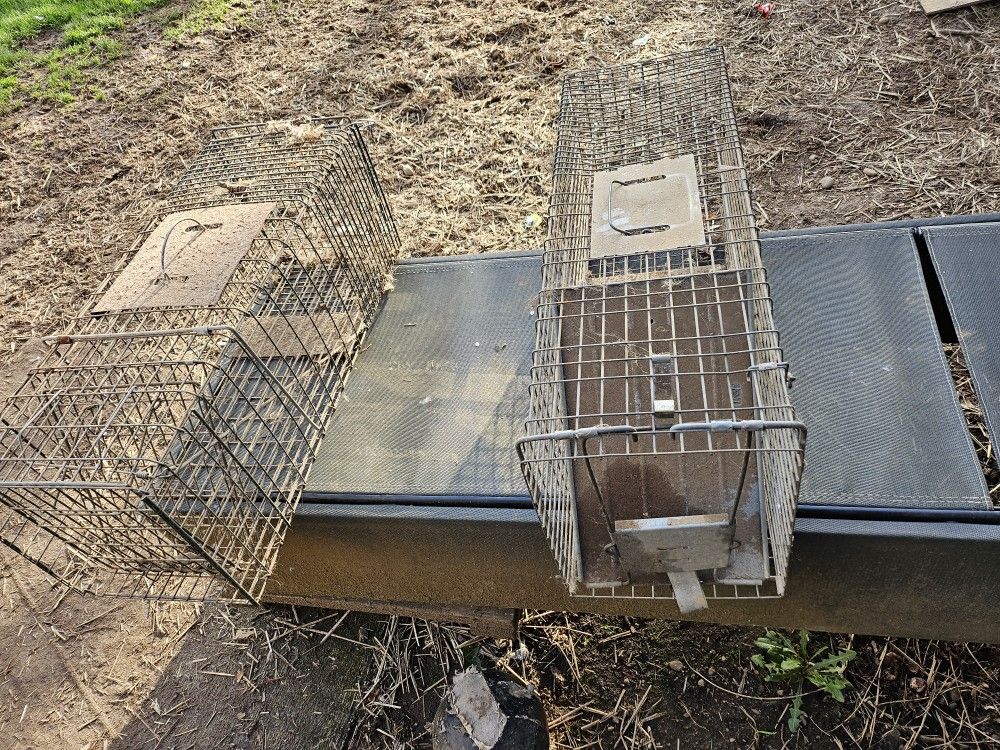 Live Traps ..