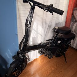 Electric Bike 