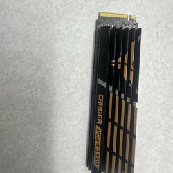 512 ssd with heat sink