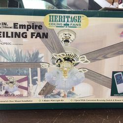 Fan