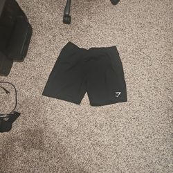 Gym Shark Shorts