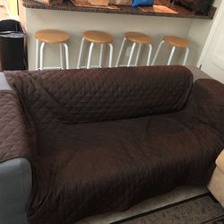 IKEA love seat with Pet cover