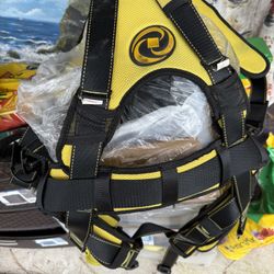 Heavyweights Lift Harness