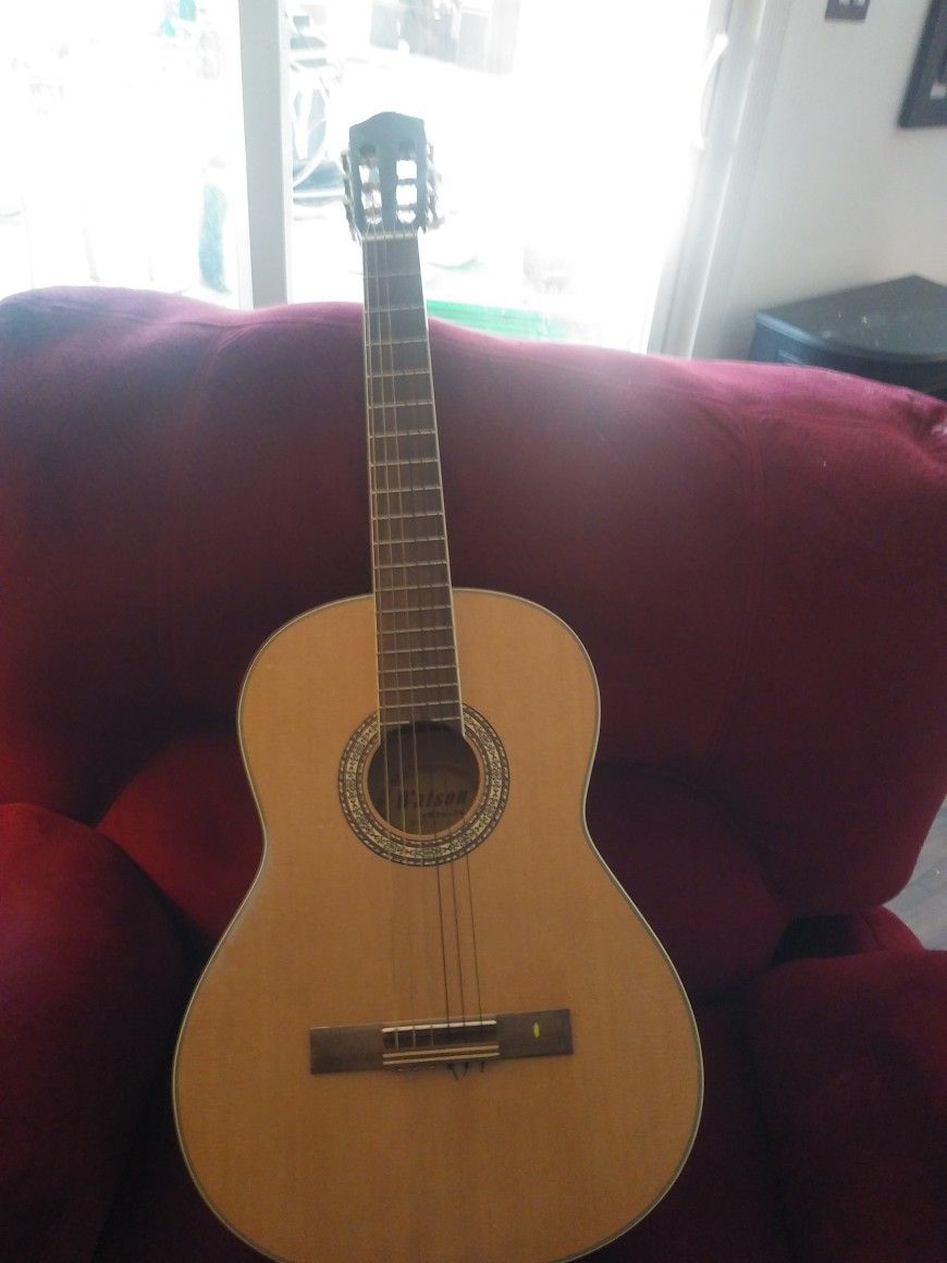 Watson Hg39 2n Acoustic Guitar