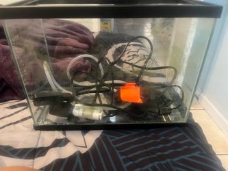 2.5 gallon tank