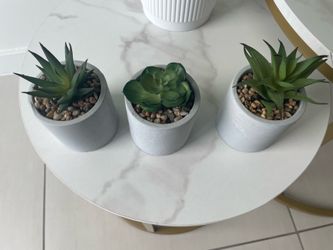 3 plants decoration