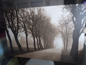 Large Canvas Wall Art Misty Tree Path