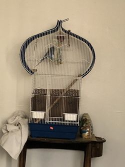 2 pajaros $40