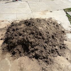 Free dirt. About A Truckload Left