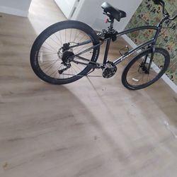 Townie Cruiser