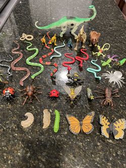 Realistic Plastic Toy Lot: Insects, Frogs, Dinosaurs, Life Cycle of Butterfly
