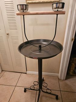 bird parrot perch new!