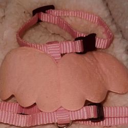 Pink Angel Wing Pet Harness And Leash