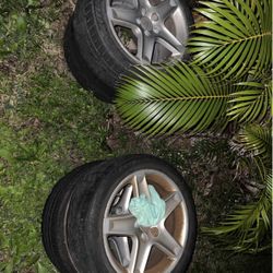 2004 Acura Tl OEM 