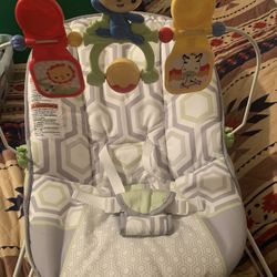 Baby Bouncer 