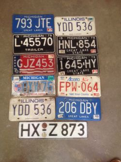 Car's registration plates.