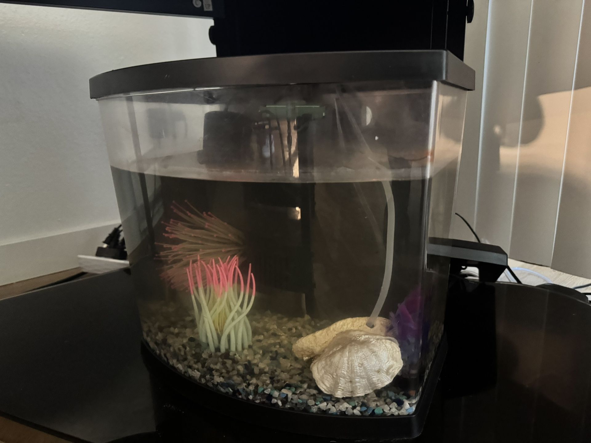 Fish tank