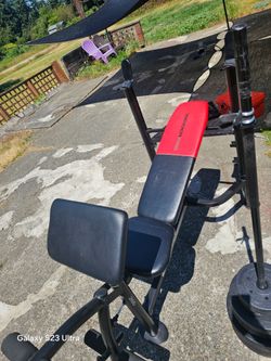 Bench Press With Weights And Barbell