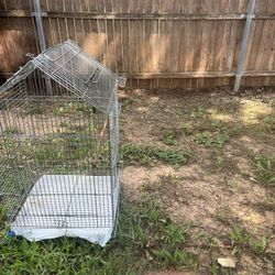 Bird cage