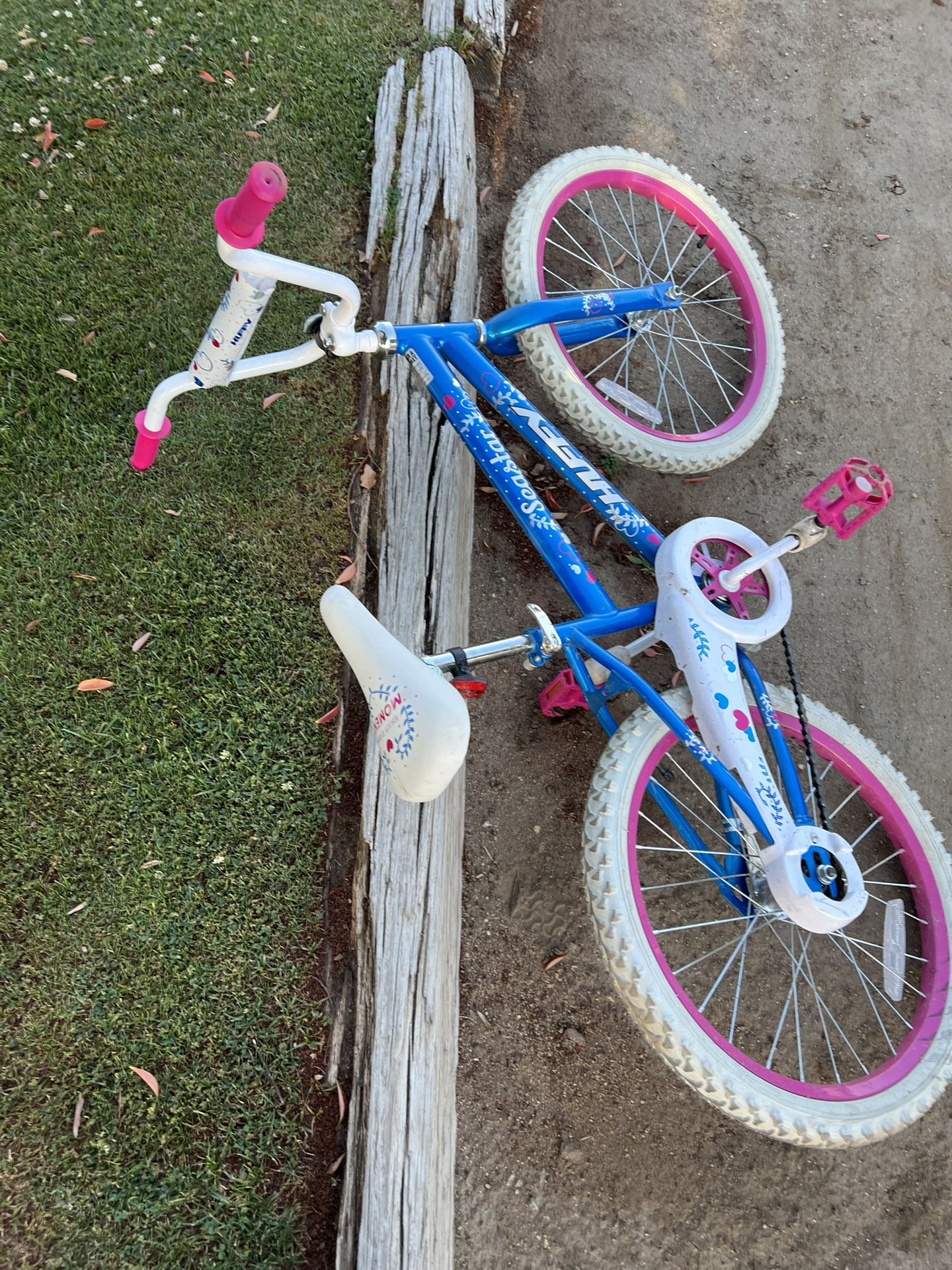 20 Inch Bike