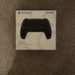 PS5 Controller