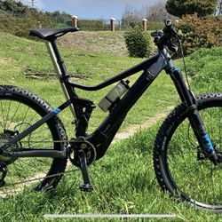 eMTB Bulls E-Core EVO AM Di2 Fully loaded!!