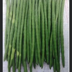Fresh Organic Moringa