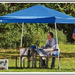 Brand New 10x10 Instant Canopy