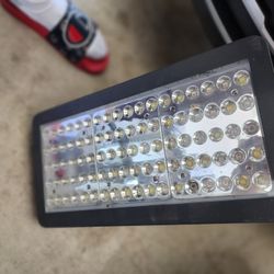 Viparspectra Grow Light