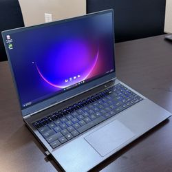 Workstation / Gaming / Powerful Laptop (Price Flexible)