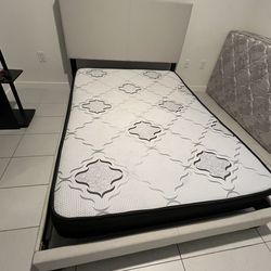 YOUTH BED in twin / full - BEIGE - FAST DELIVERY!! 🚚 🛏️