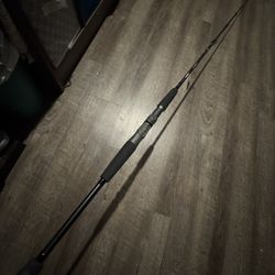 Daiwa Proteus Inshore 7’6” Med New 